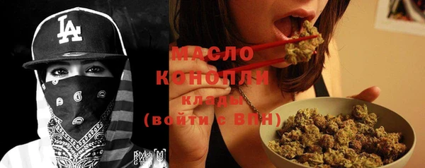 эйфоретик Ельня