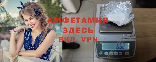 эйфоретик Ельня
