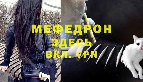 эйфоретик Ельня