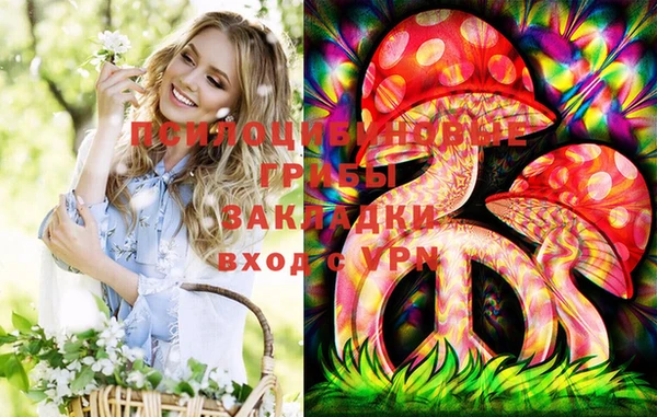 эйфоретик Ельня