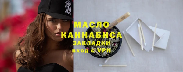 эйфоретик Ельня