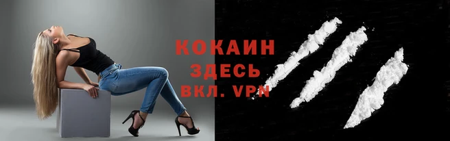 эйфоретик Ельня