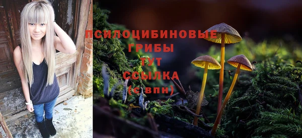 амфетамин Елабуга