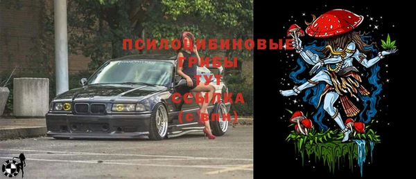 эйфоретик Ельня