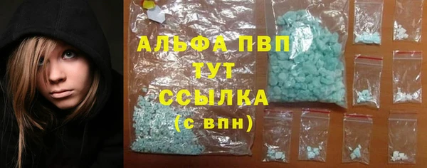эйфоретик Ельня