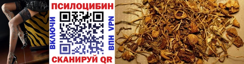 Купить  Темрюк  Псилоцибиновые грибы ЛСД 