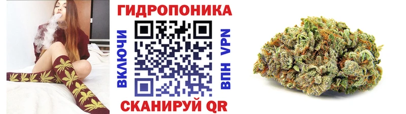 Конопля Amnesia Купить где Темрюк